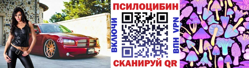 даркнет официальный сайт  Ельня  Галлюциногенные грибы прущие грибы 